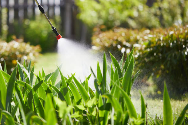 24/7 Emergency Rodent Control experts in Cameron, MO